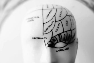 illustration of brain zones