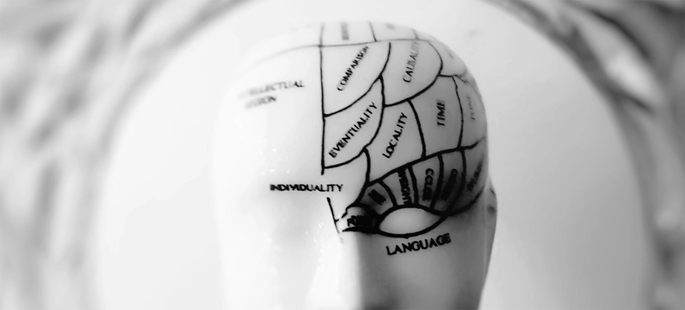 illustration of brain zones