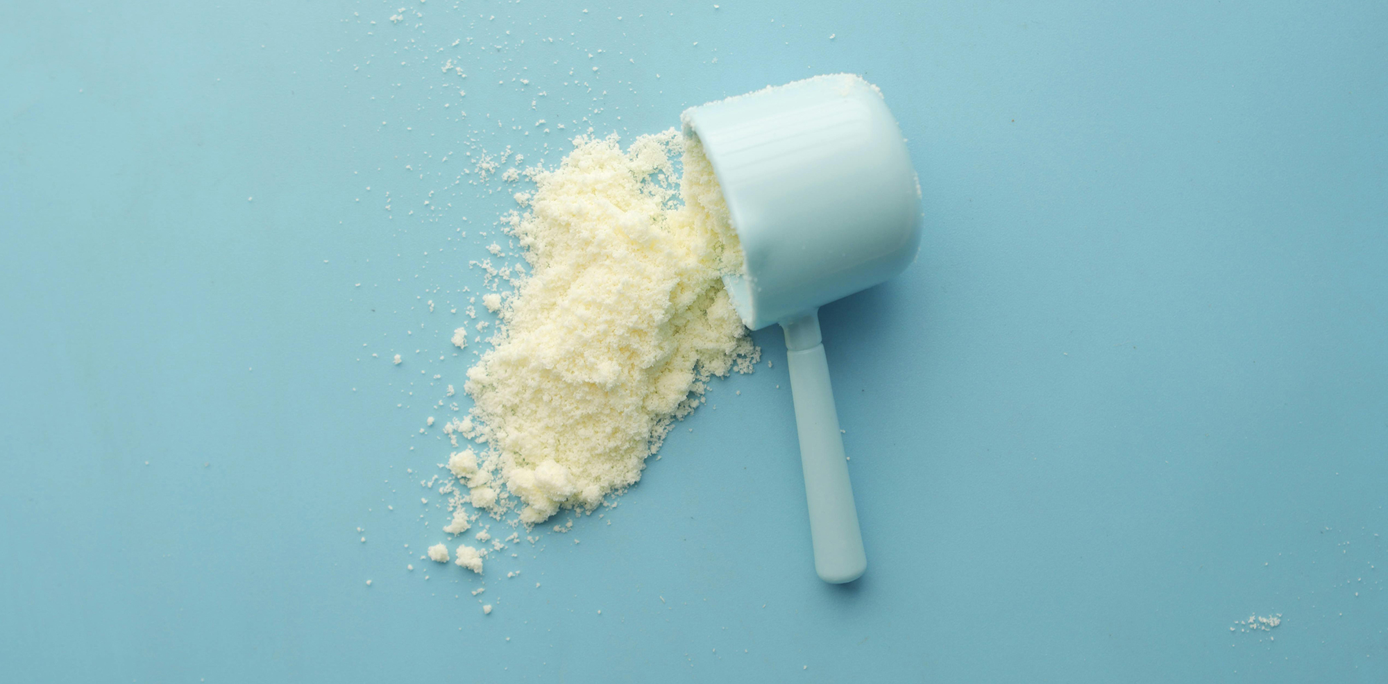 whey protein