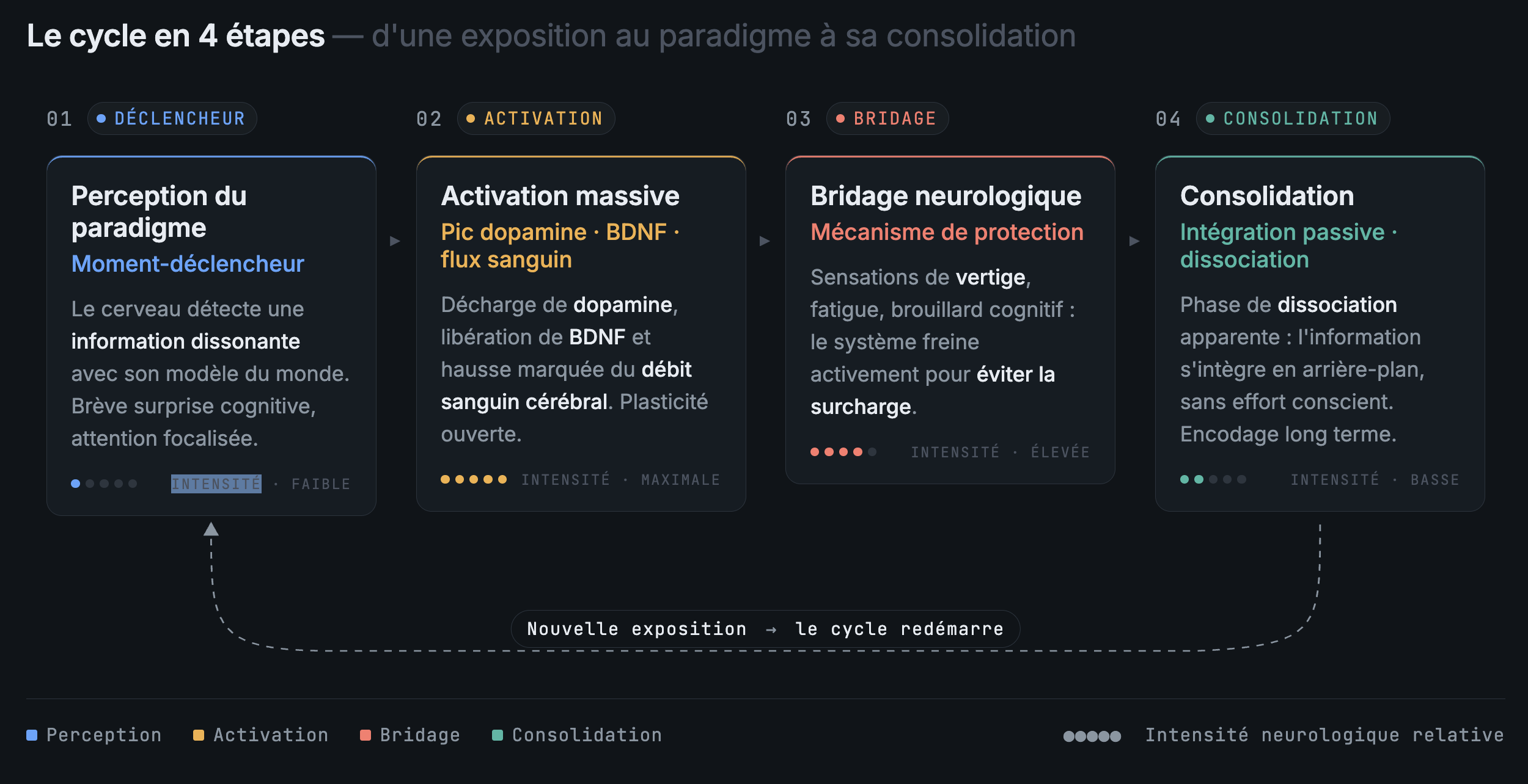 cycle en 4 étapes