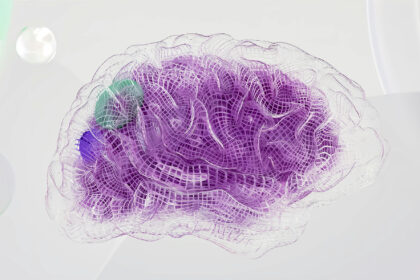 cerveau numérique représentant l'intelligence artificielle