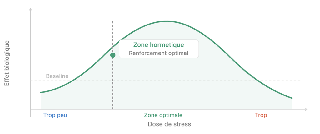 courbe zone hormétique