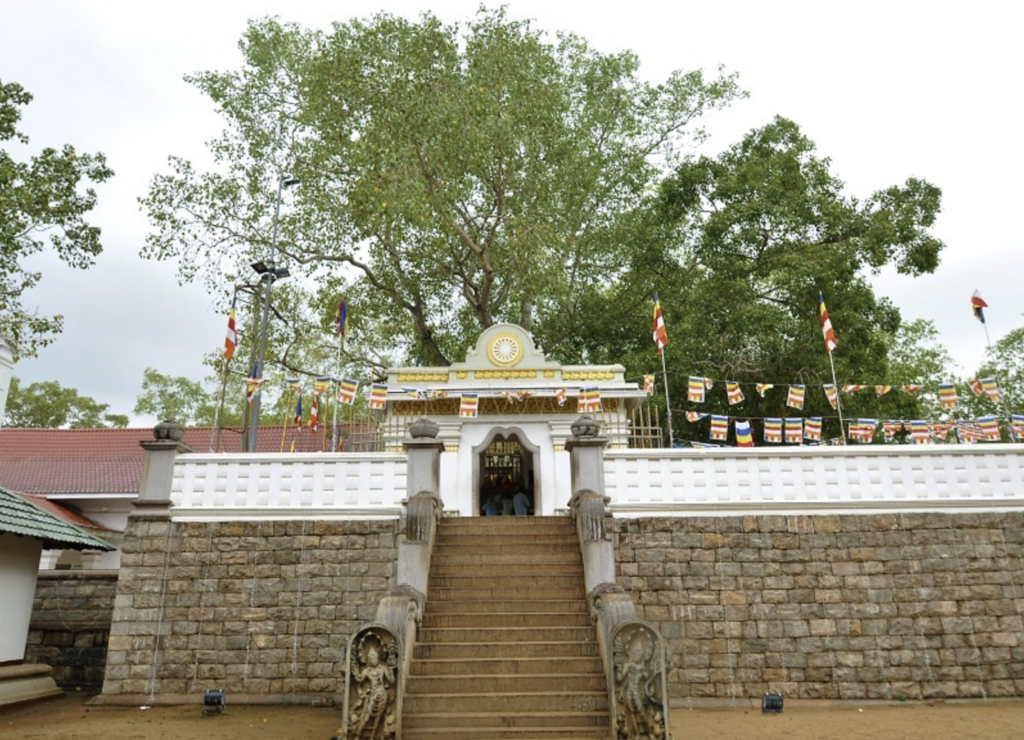 Sri Maha Bodhi