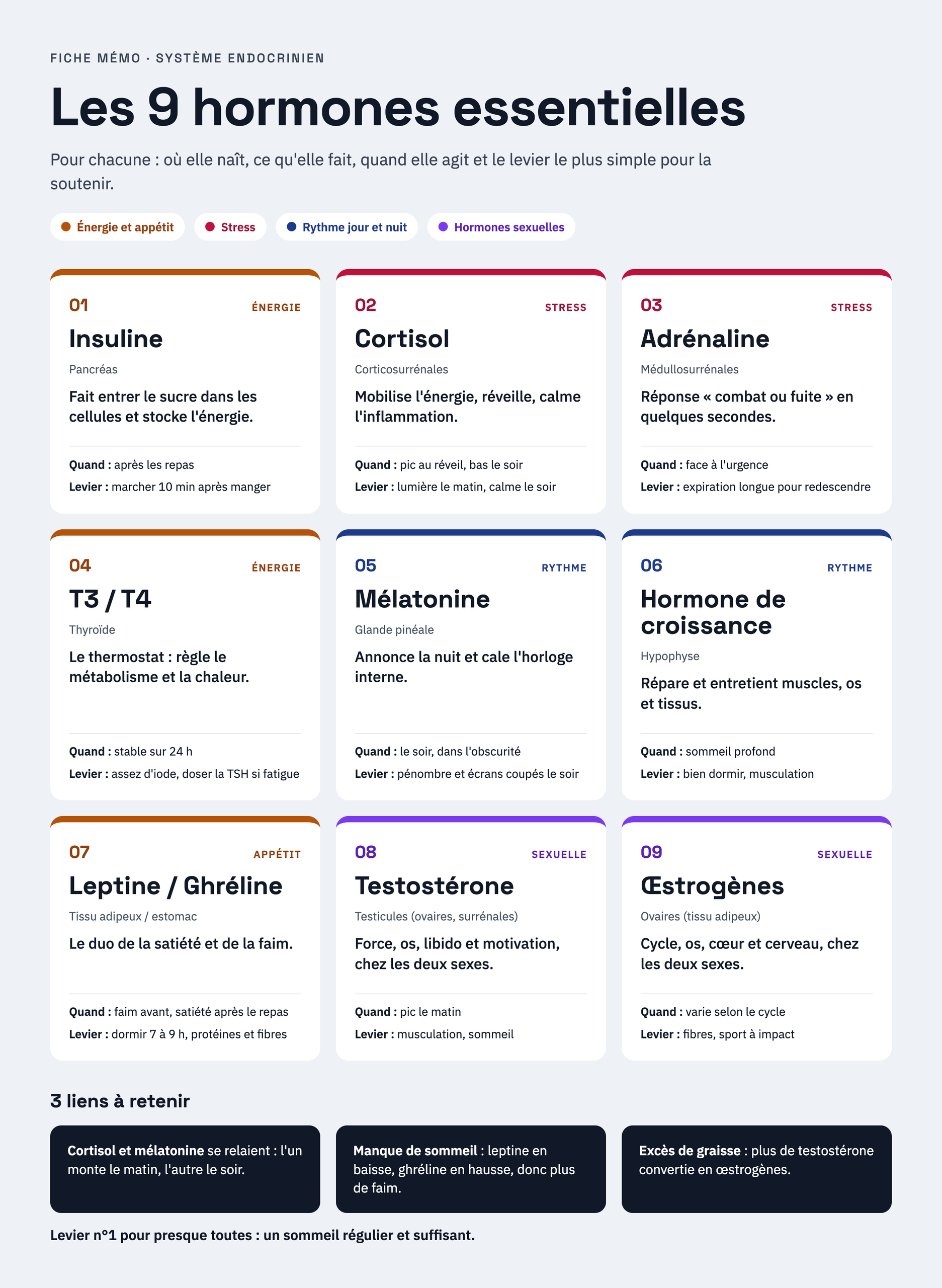 fiche récapitulative des 9 hormones